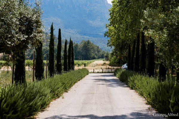 Roland Paix - Lieux d'évènements - Location Château St-Julien - Location lieux de mariage - Provence