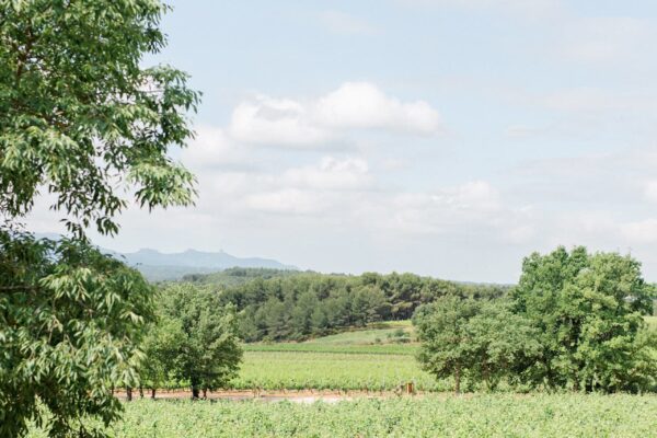 Domaine-de-la-Galiniere-Lieux-COllection-Roland-PAIX-5